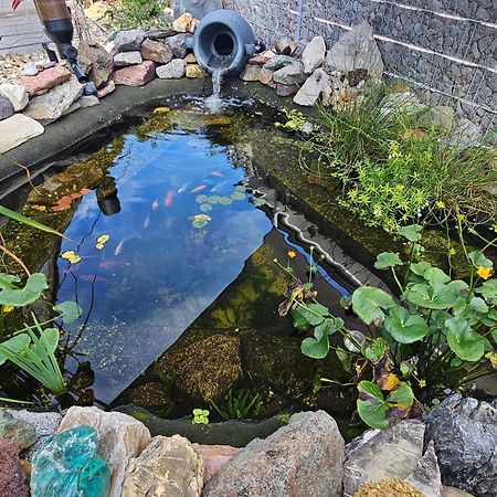 Ferienwohnung Otschik Glan-Munchweiler Bagian luar foto